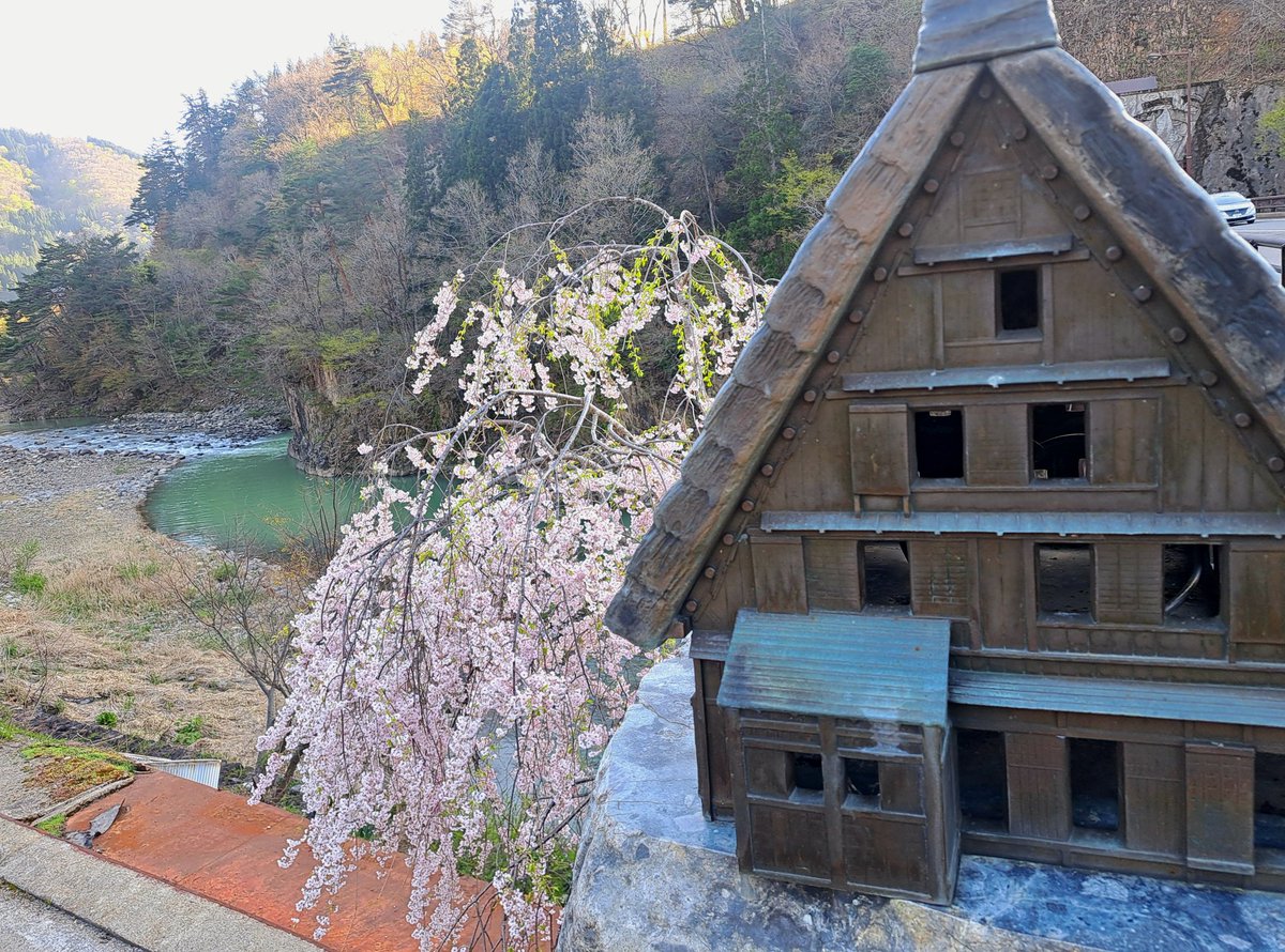 白川郷 合掌造りと桜が織りなす風景は、この季節だけの特別な美しさ 