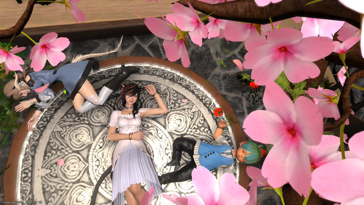 のるか tweet media