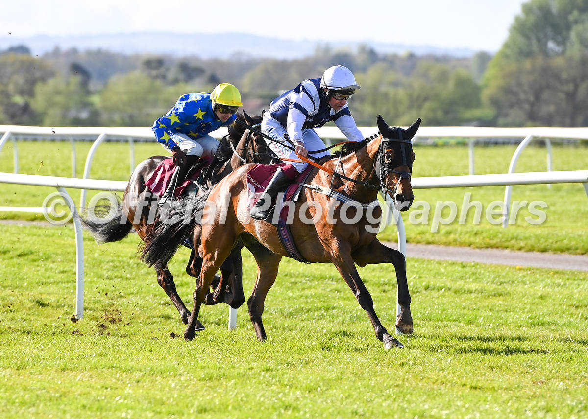 OfficialPhotographers tweet media