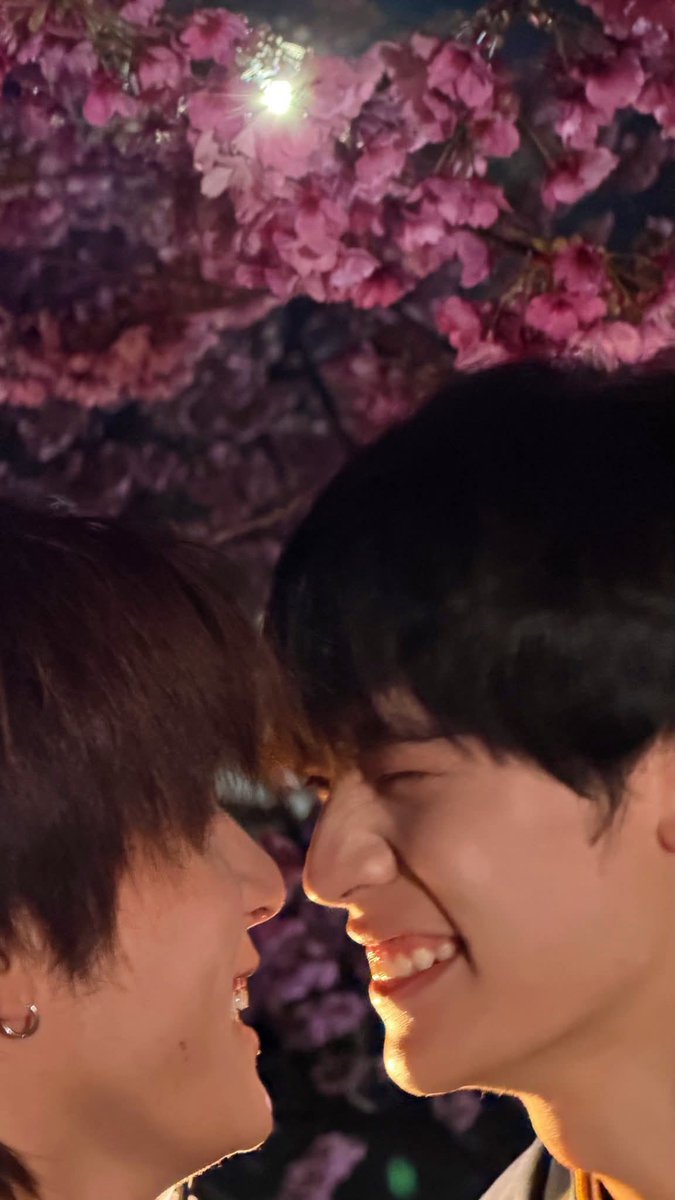 Diana Van tweet media