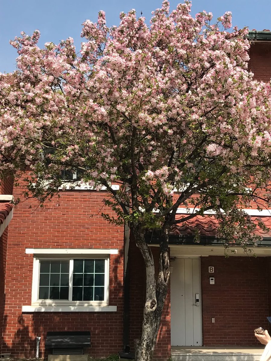 Charlene tweet media