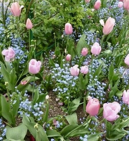 theo ☆ SHEDTWT tweet media