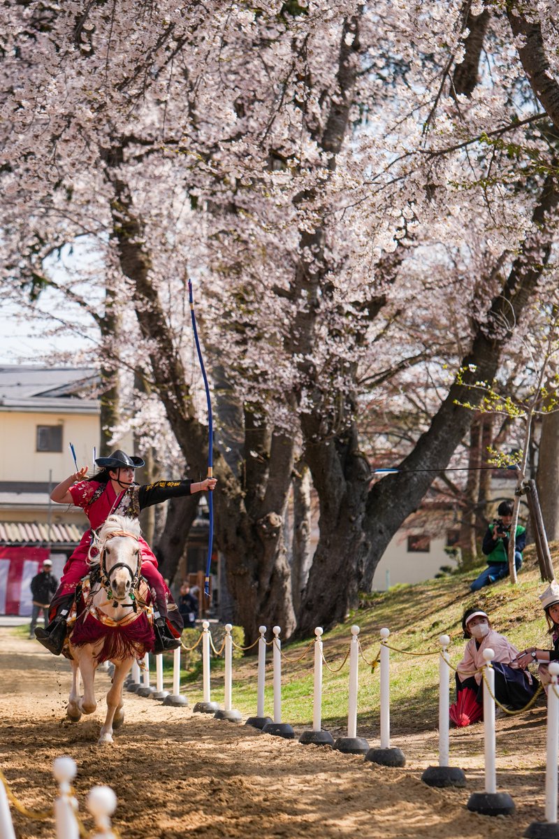 Ryusei -動物ガチ勢- tweet media