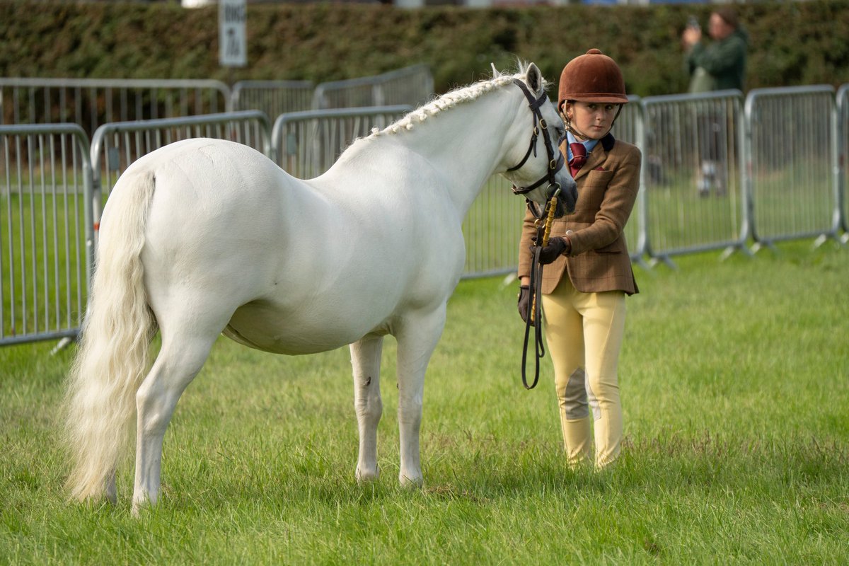 Royal Cheshire County Show tweet media