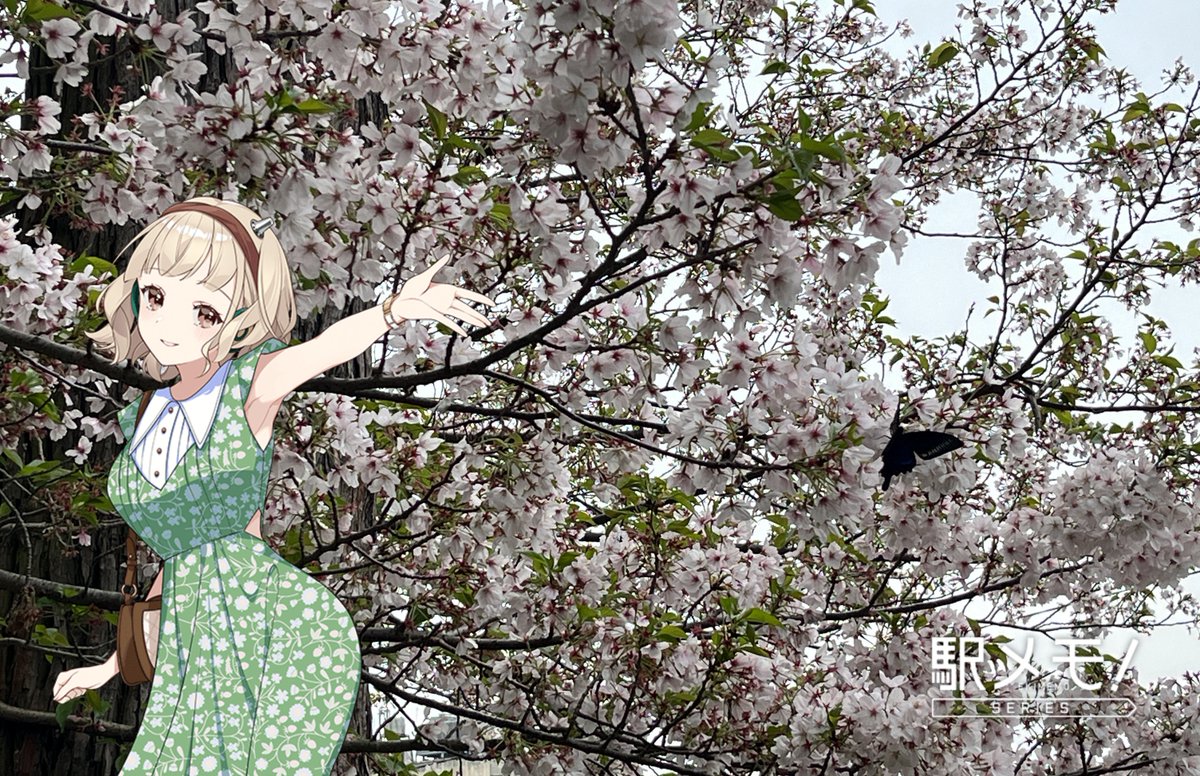 なつめ tweet media