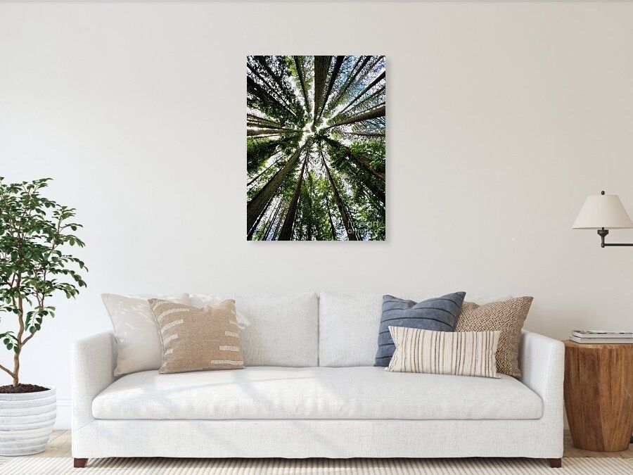 erinmdorffette's tweet image. #WallArt (Canvas #Prints, Framed Prints, #Posters, Wood Prints, Metal Prints, Acrylic Prints, and #Tapestries)
#artoftheday #BuyIntoArt #fineart #photography #gifts #valentinesgift #giftideas #fallcolors #waterfall #nature #flowers #rainbow
Link in comments to shop!