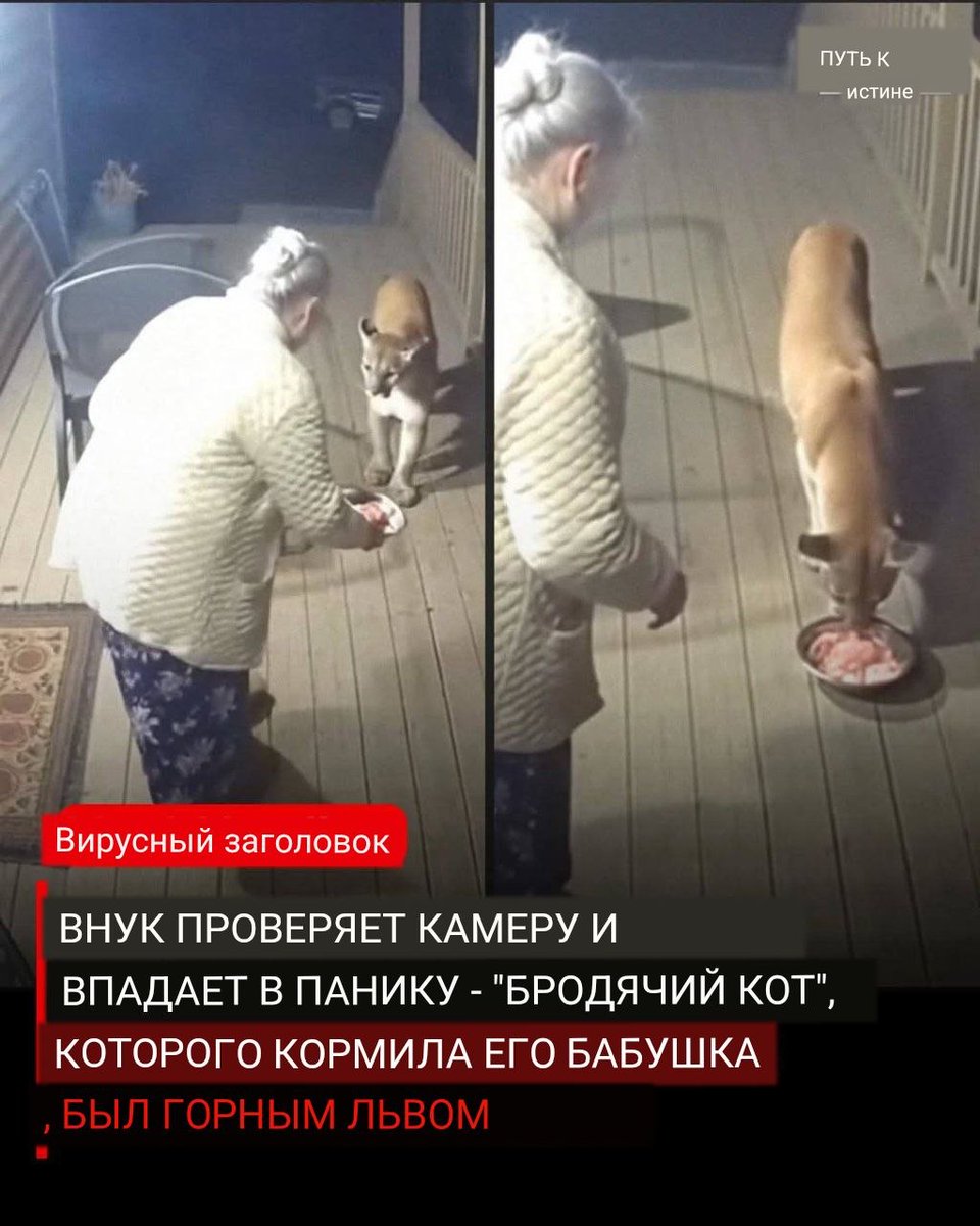 Мой сосед татарин tweet media