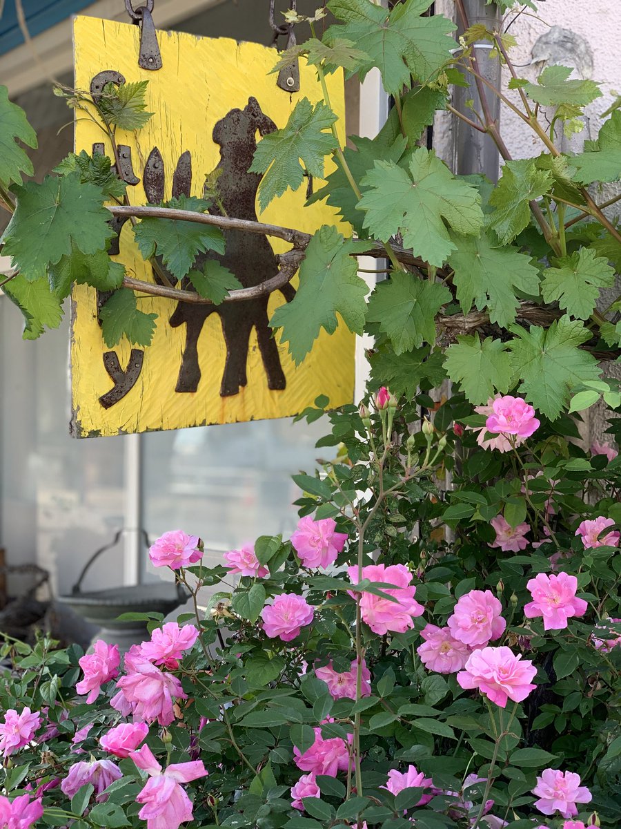 yasuko_2010's tweet image. 久しぶりにホジャさんへ。
タンドリーチキンと、ネパール風味のあるダルカレーやおかずたち。
ネパール山椒の刺激と、焦ラーとしては焦がしたフェネグリークが良き。
黒ウラド豆も滋味深い美味しさ。
もちろんタンドリーチキンは最高です。

#lunch #tandoorichicken #curry #nepali #rose