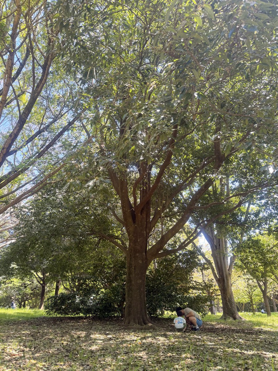 はぁーーーーー楽しかった😆💕息子に楽しんでもらうことはもちろんだけど夫に喜んでもらいたくて夜中に下準備頑張った🌿息子も久しぶりにパパと1日遊べて楽しそうだった🚲=͟͟͞͞
虫探したり追いかけっこしてるふたりをずっと見ていたい😌