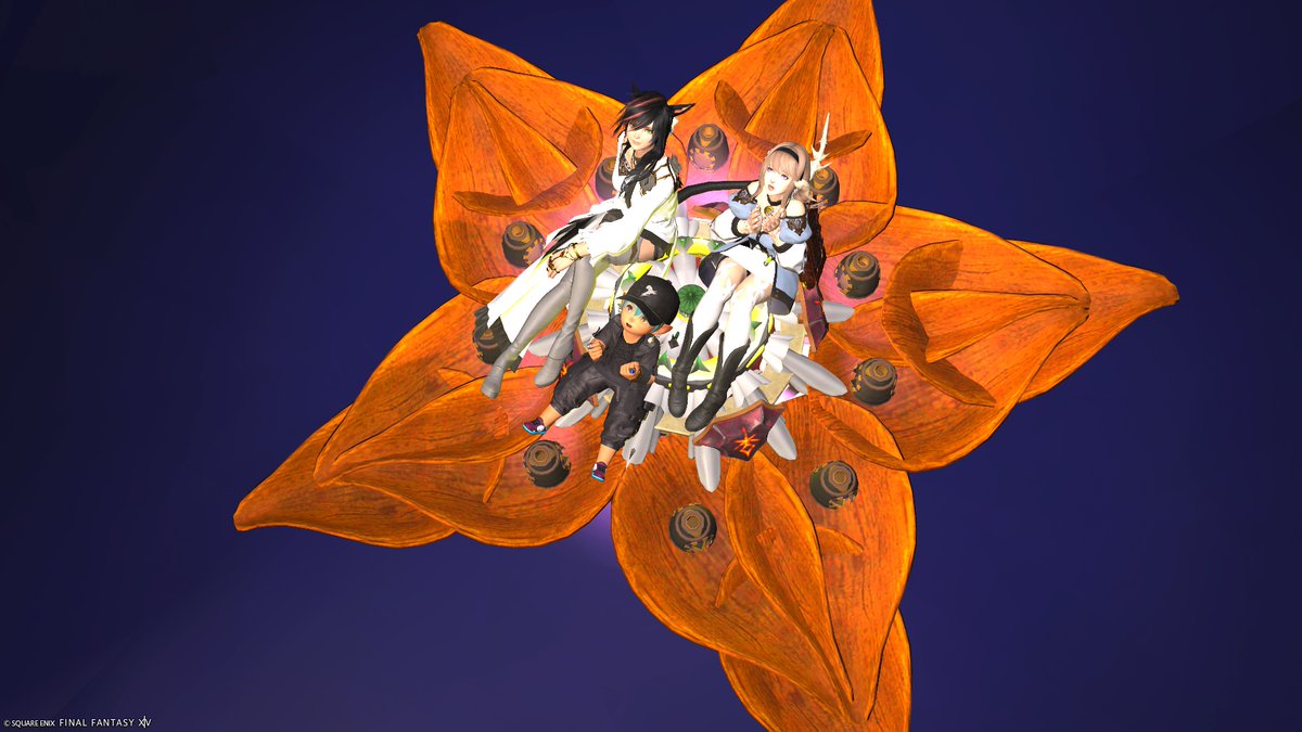 のるか tweet media