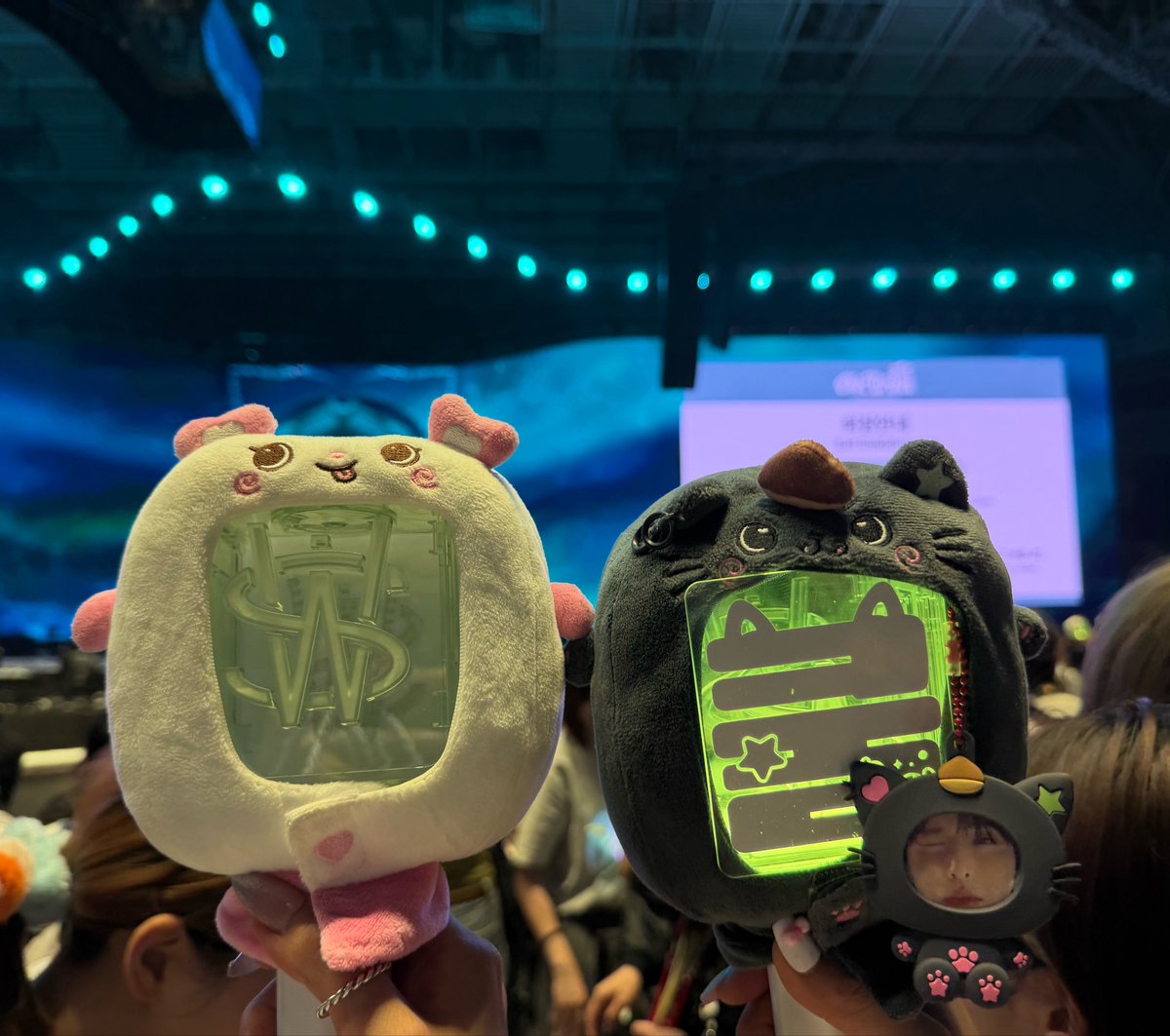 (slow)토토 tweet media