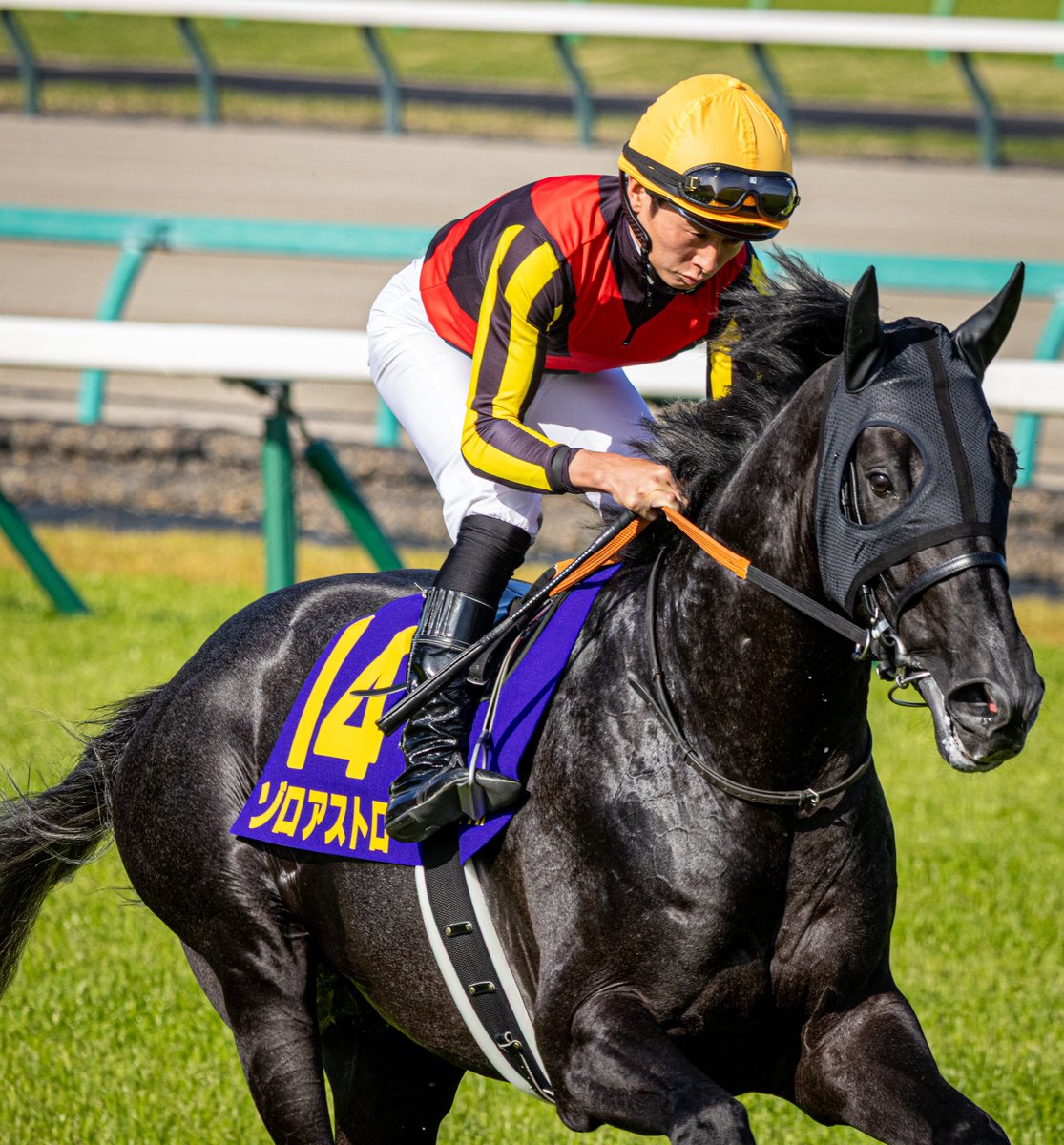 ぶらん tweet media