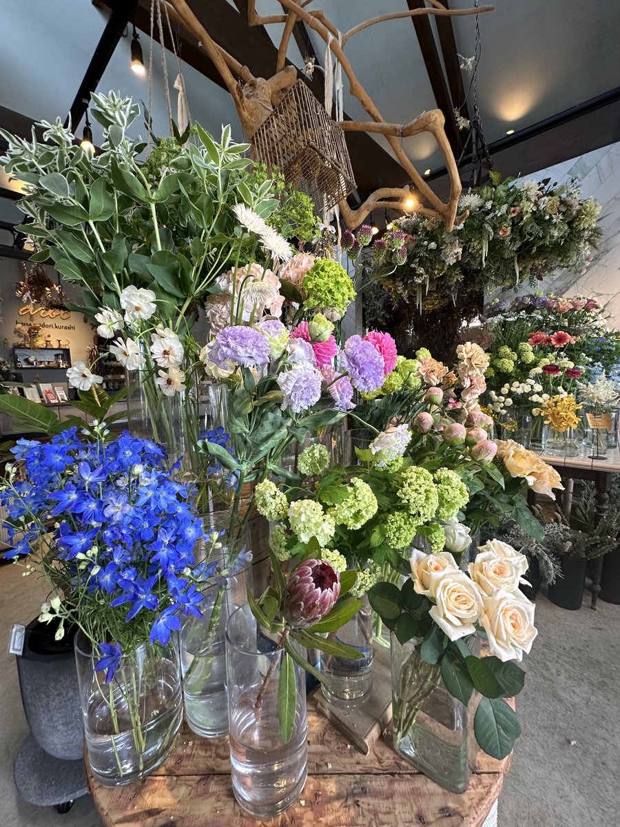 himari.1207 tweet media