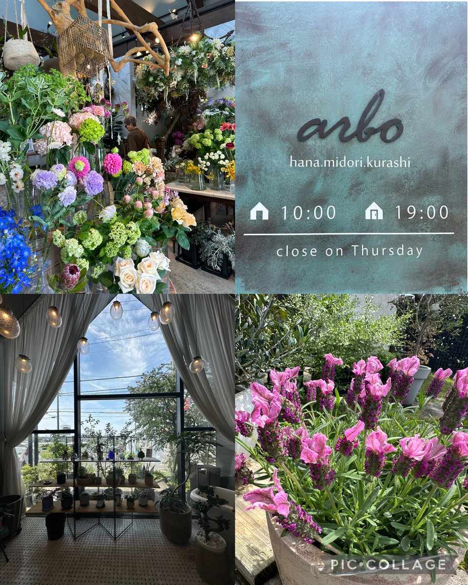 himari.1207 tweet media