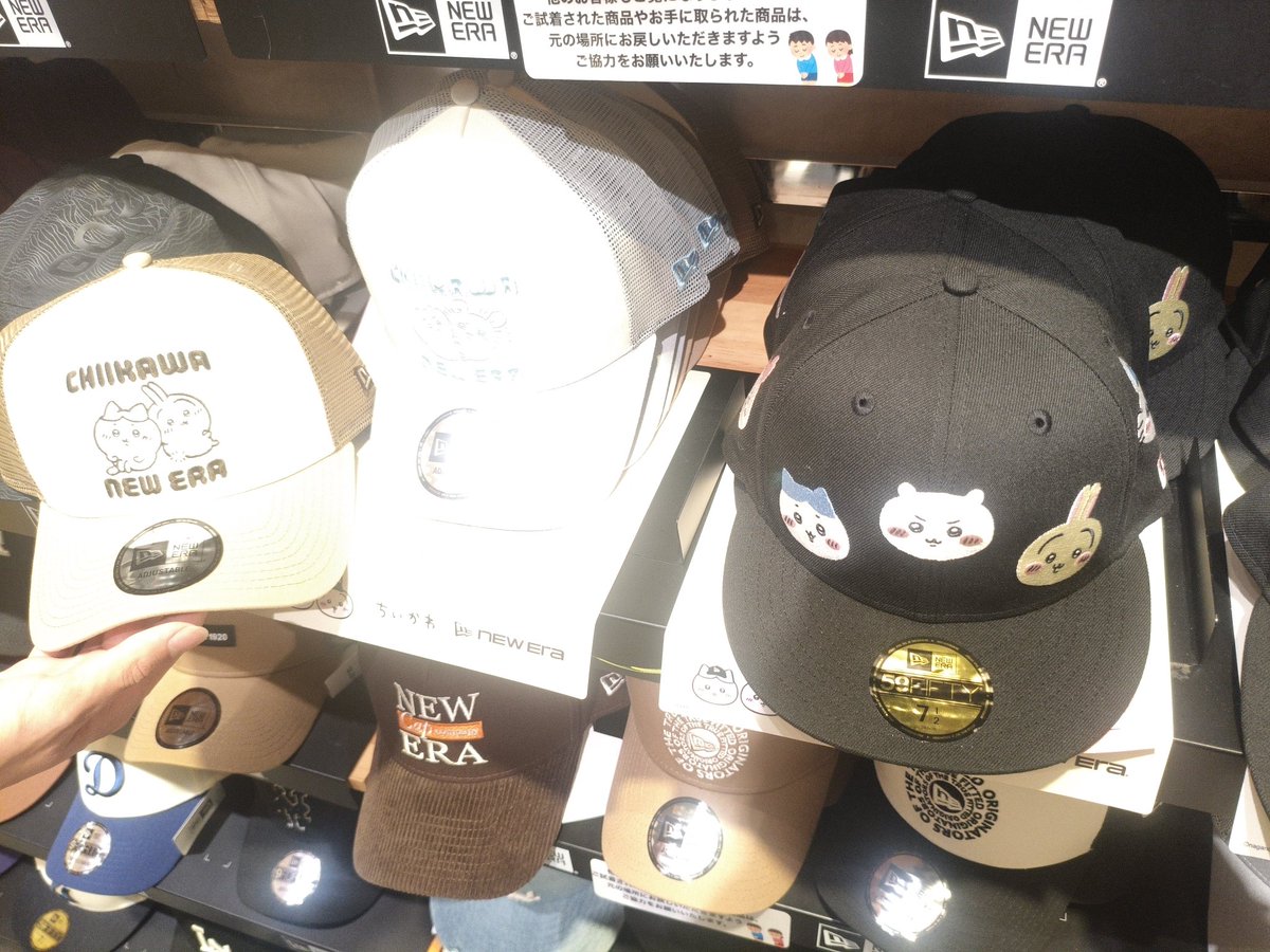 ゆげ:ぽまるちゃ tweet media