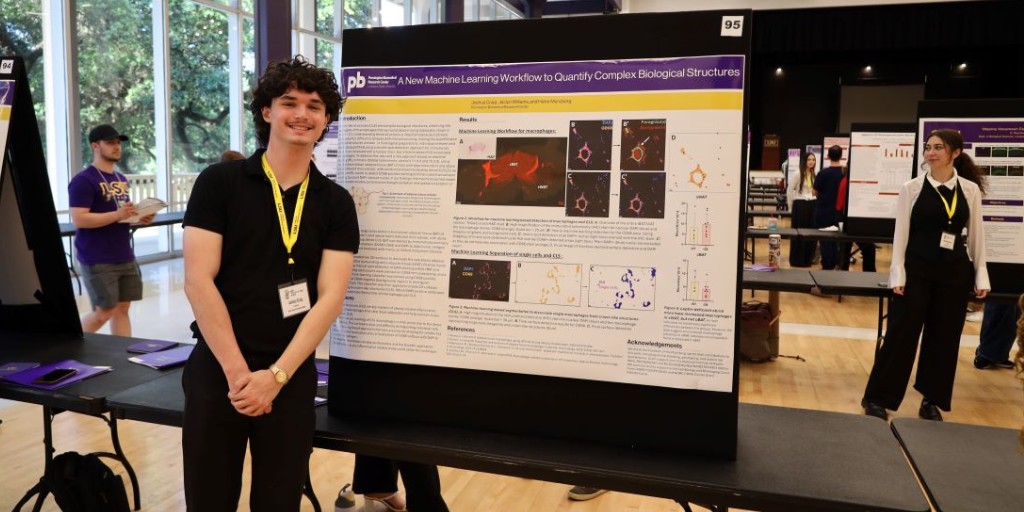 PBRCNews's tweet image. #LSU student Joshua Craig, who worked with Dr. Heike Muenzberg-Gruening at Pennington Biomedical, presented on "A New Machine Learning Workflow to Quantify Complex Biological Structures" at #LSUDiscoverDay on Friday #LSUresearch #PBRCresearch