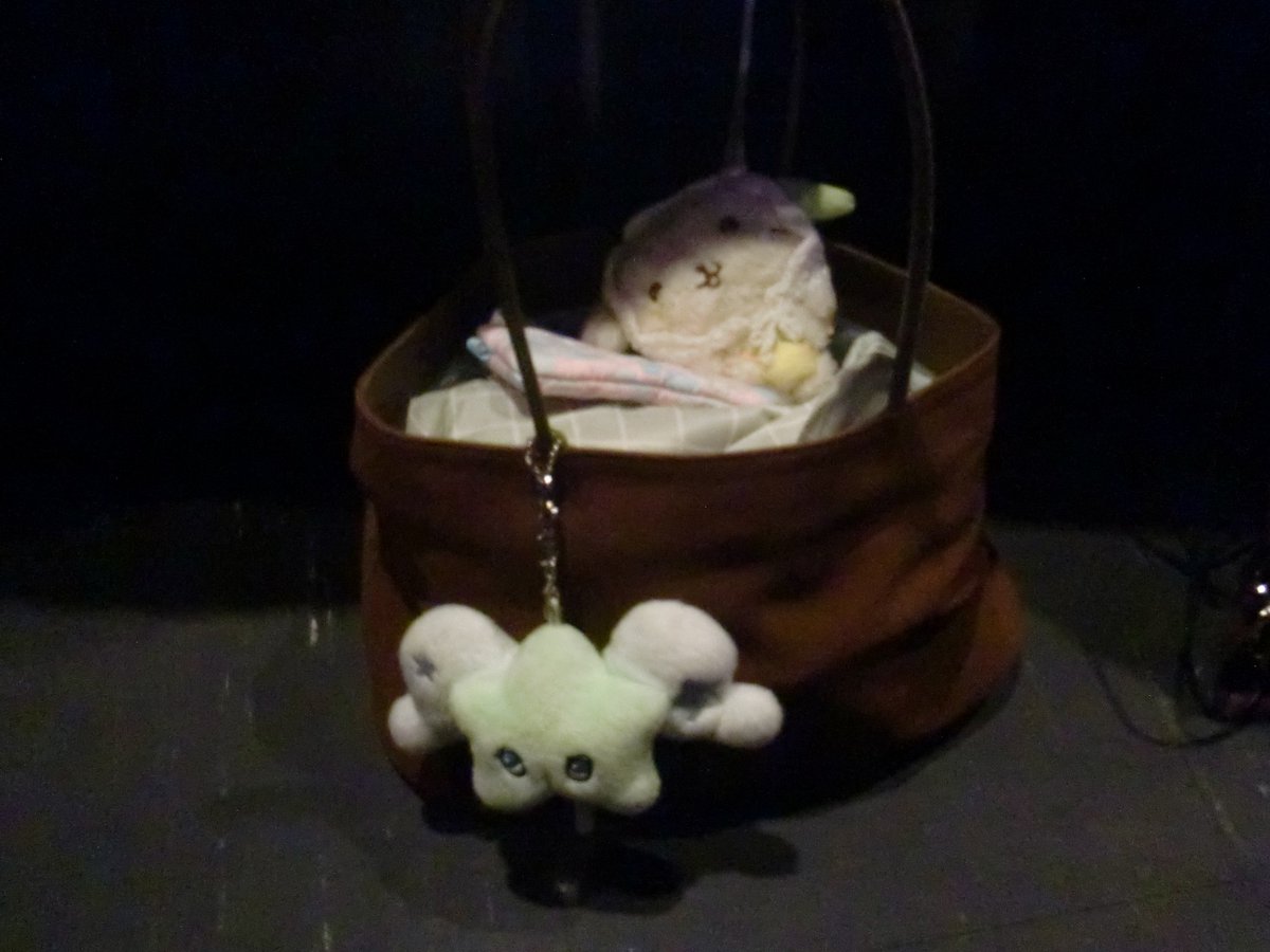 ⊹₊⟡⋆ tweet media