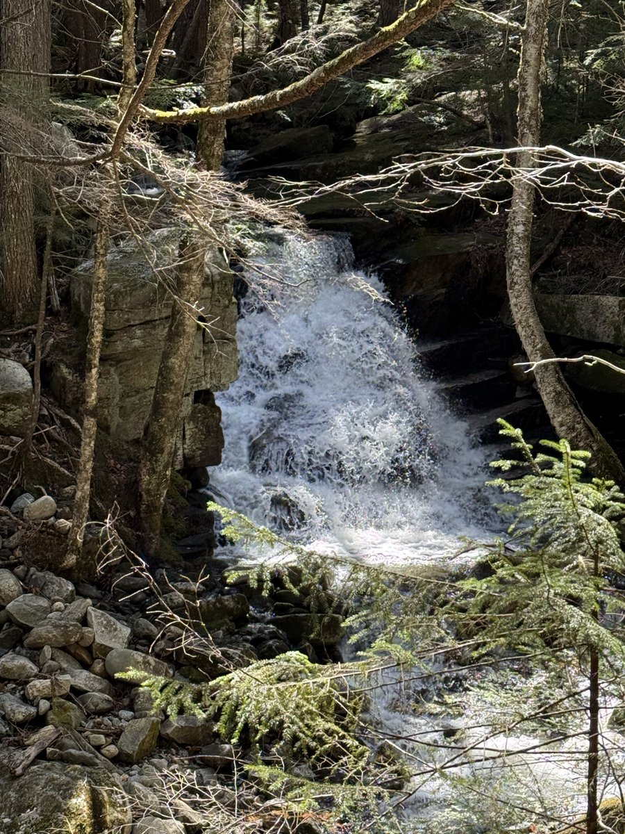 TruthFreedomPe1's tweet image. Howker Ridge Trail, Randolph, NH #Hike #Hiker #NatureLover #Adventurer #NH ⛰️🥾💛🤎💚