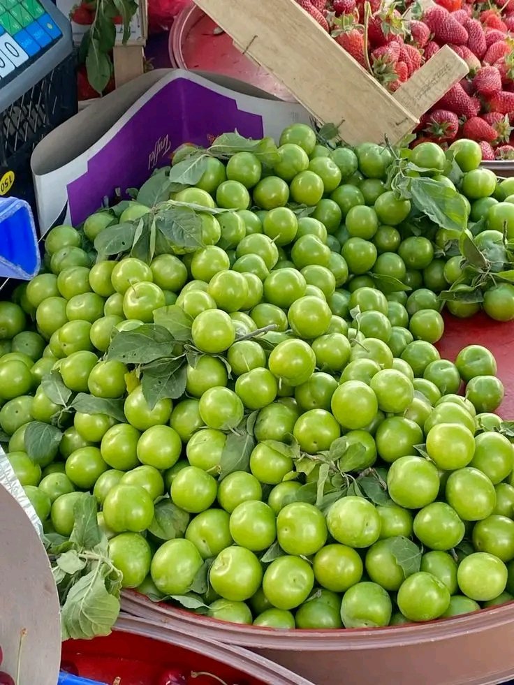 فاروق الامويين tweet media