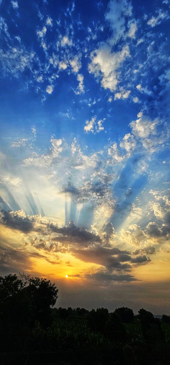 vidya2811's tweet image. “The sky paints a goodbye, but in the most graceful way.” 💛
.
.
#SunsetVibes #GoldenHour #EveningSky
#theme_pic_India_sunsets
#vidyaS23Ultrasnap