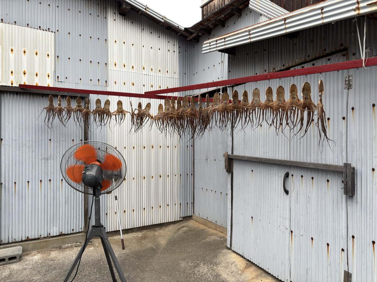 ほしあい めみ tweet media