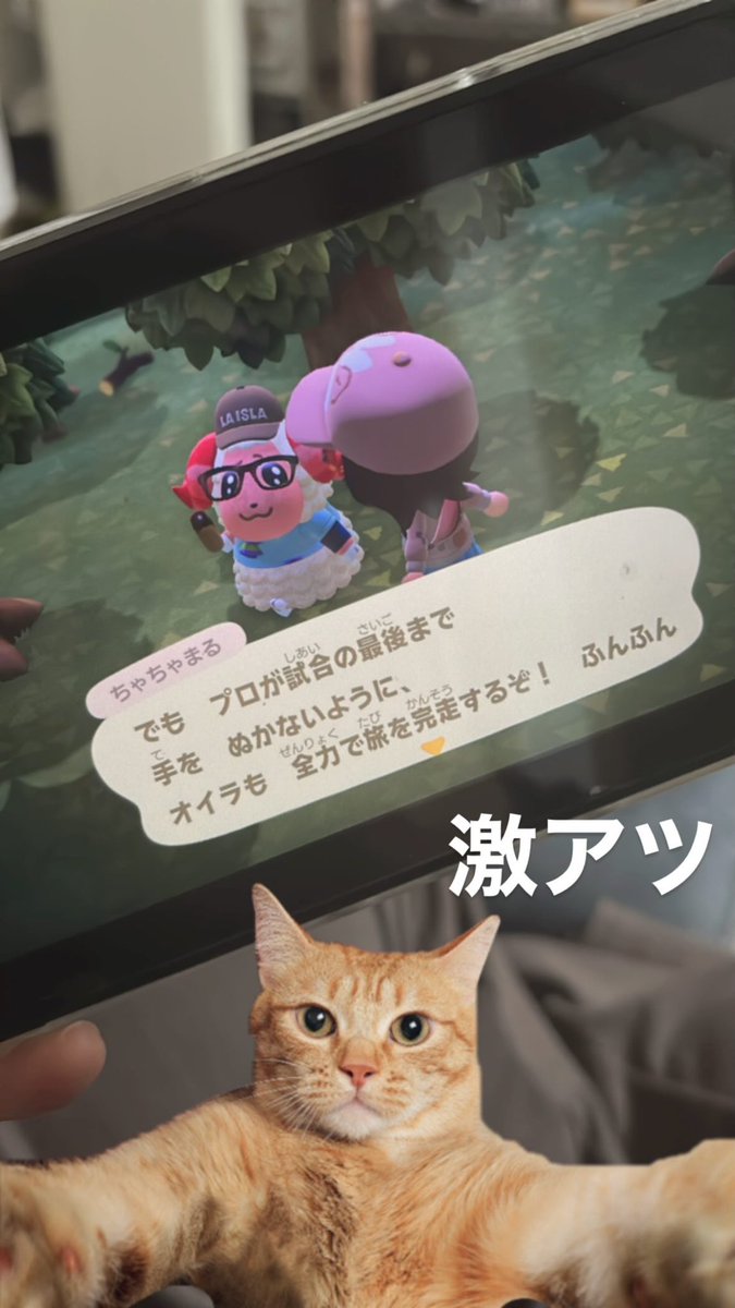 ちゃも tweet media