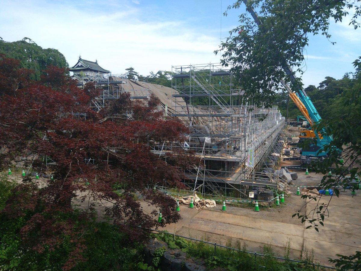 いちご砂糖 tweet media