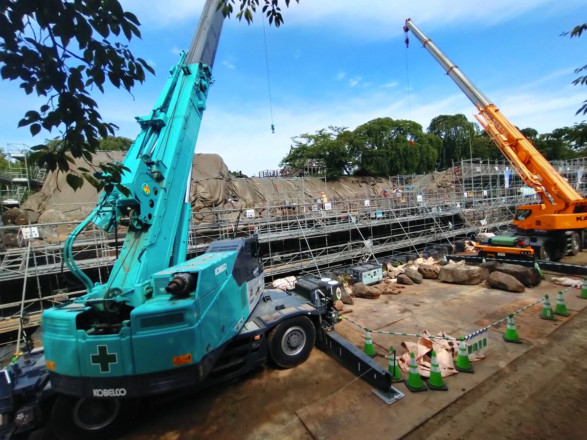 いちご砂糖 tweet media