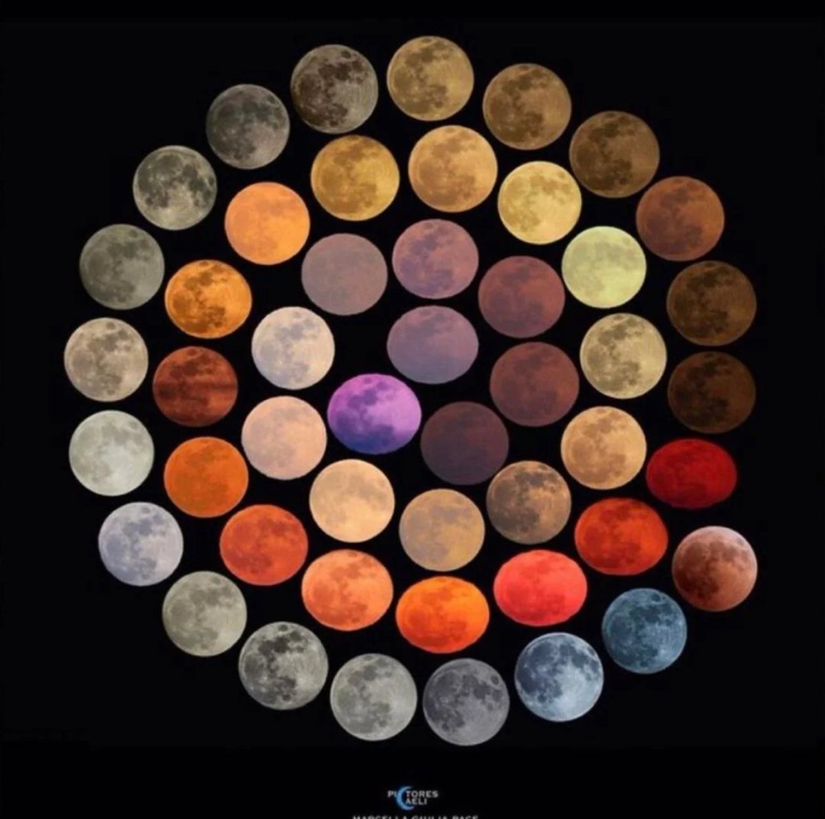 It took the photographer 10 years to capture all 48 colours of the moon.

📸 marcella_giulia_pace [IG]