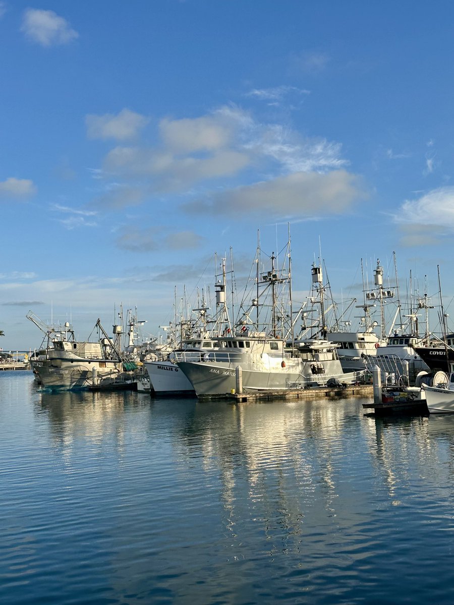 suziday123's tweet image. Sunday Friendly Reminder… Take time to slow down and enjoy the view. 🙌💙 #SelfCareSunday #SundayMorning