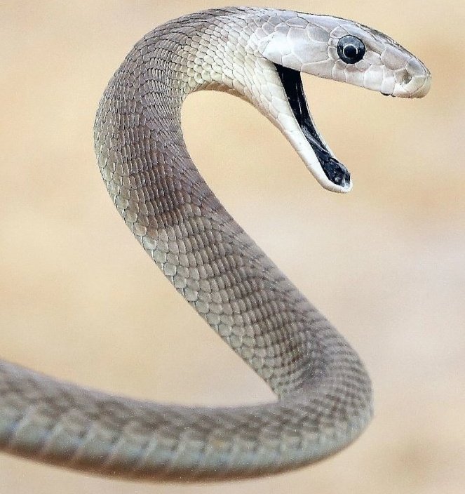 Çity Trend tweet media