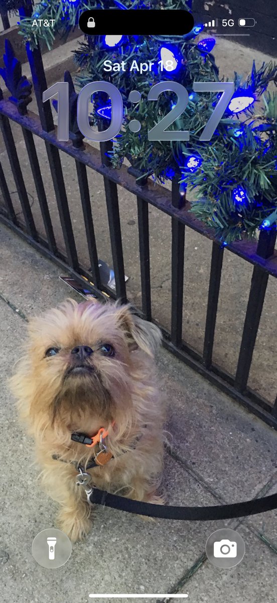 CapeFloy's tweet image. Bedford Avenue 
You cannot sit there and 1) drink coffee 2) read the New York Times without Estrada vs Garcia
#killer #Hellenitha #FOILFloy