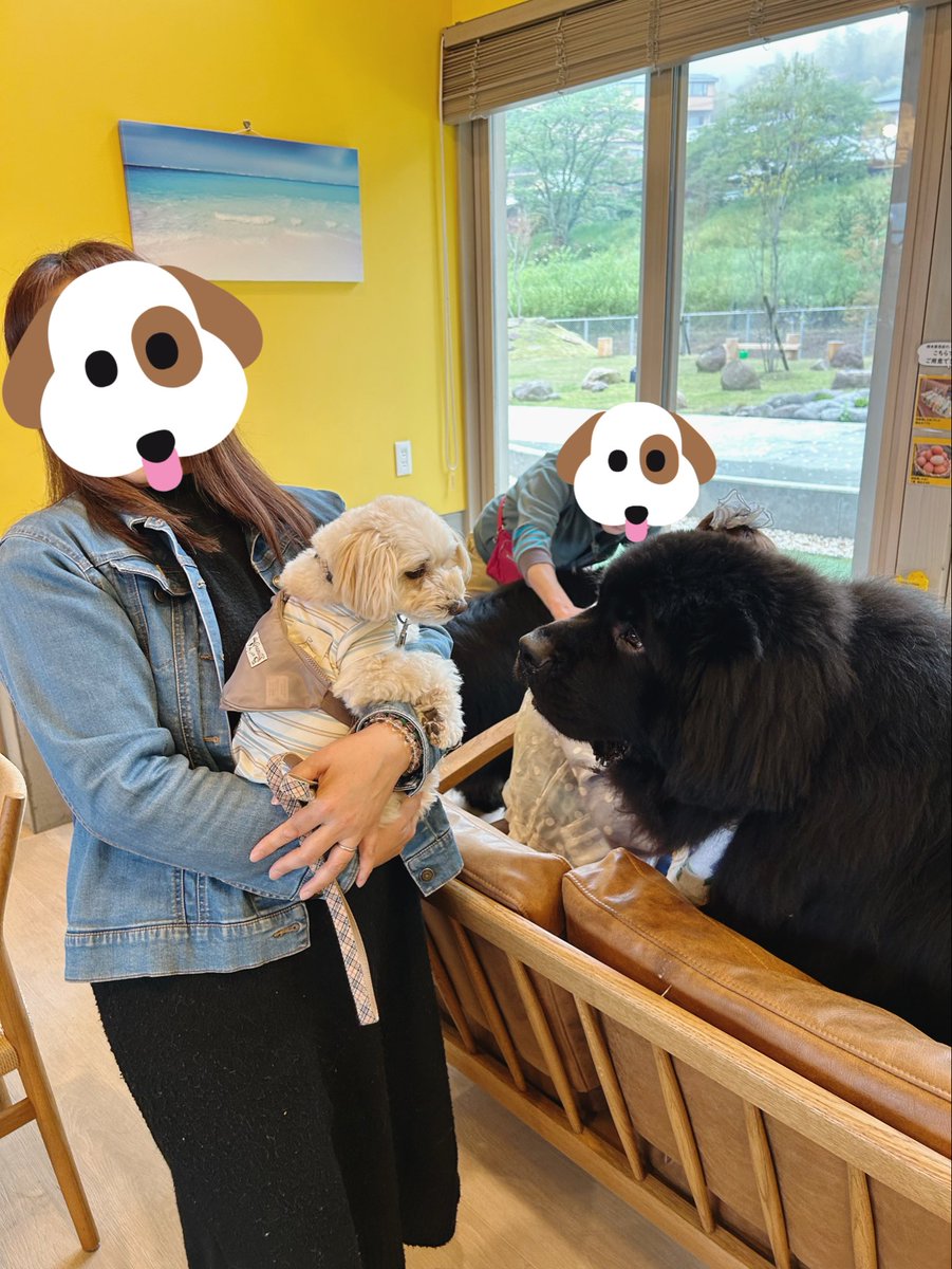 まめあず母 tweet media