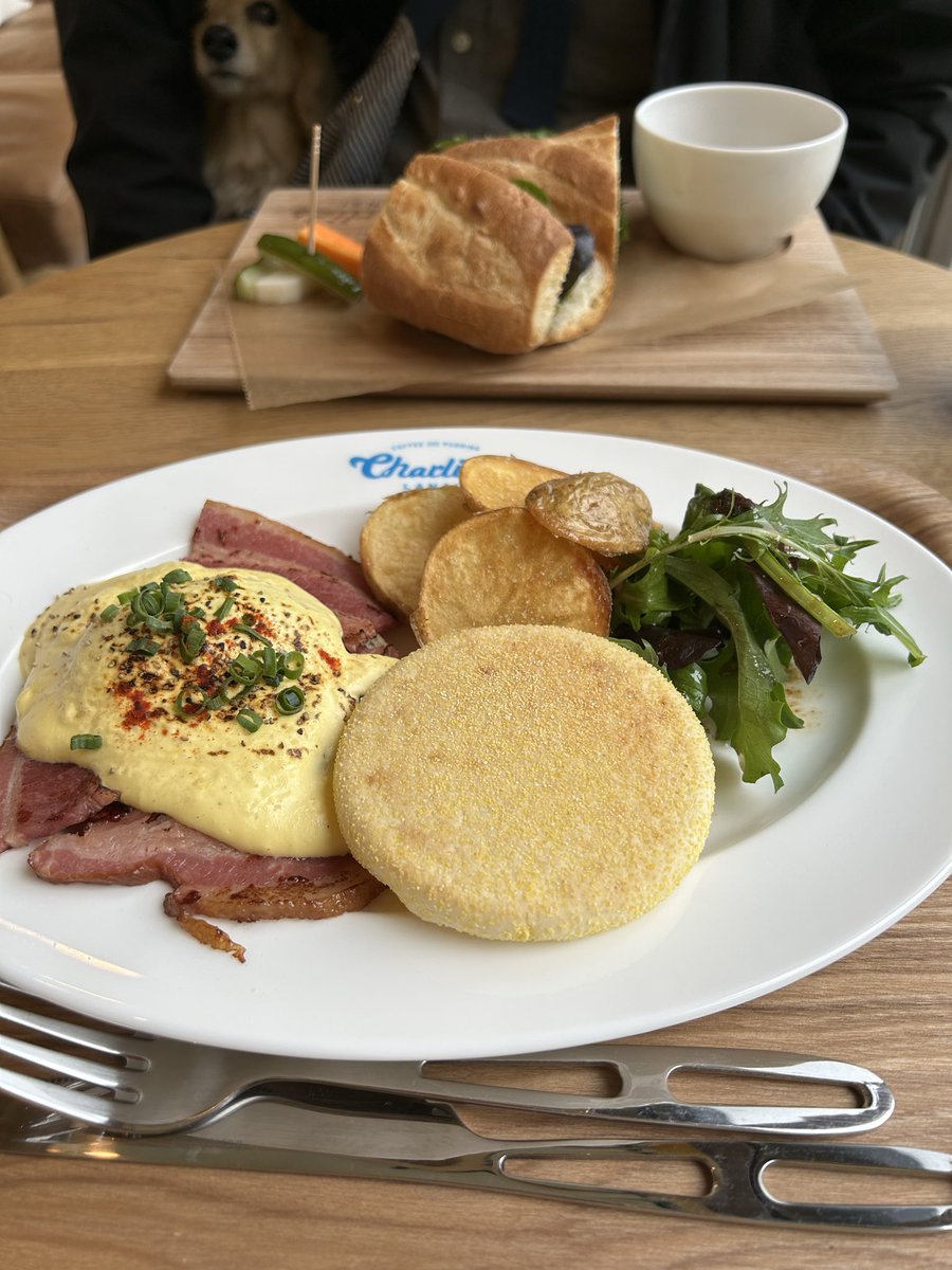 まめあず母 tweet media