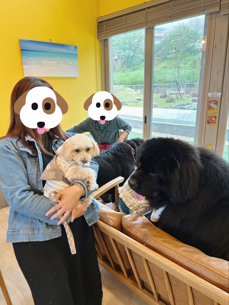 まめあず母 tweet media