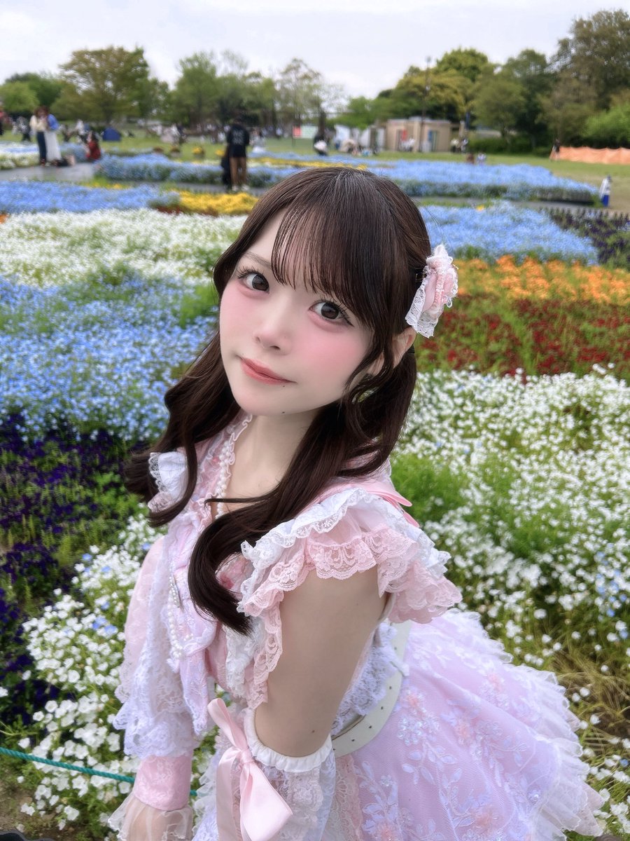 sp_shirakata's tweet photo. 春だーいすき🌷 https://t.co/JiBlhlvIIh