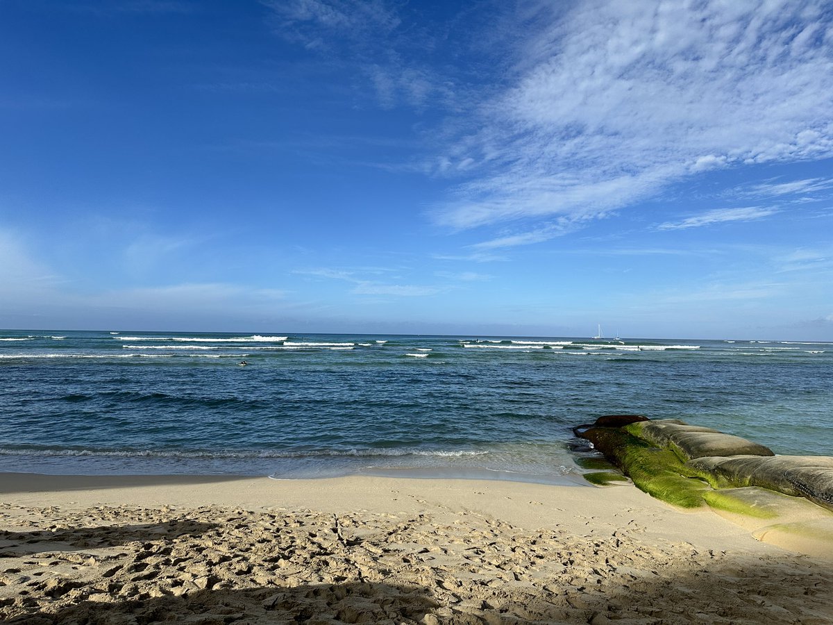 chipdale812's tweet image. 旅の思い出④🌺

#ハワイ #Hawaii #ワイキキ #waikiki