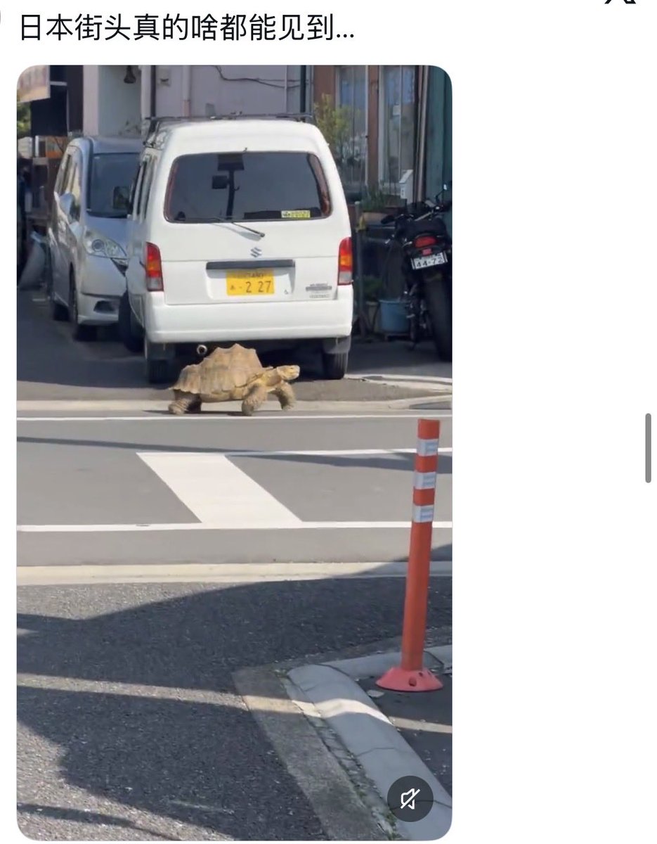 うみ空鯤鵬 tweet media