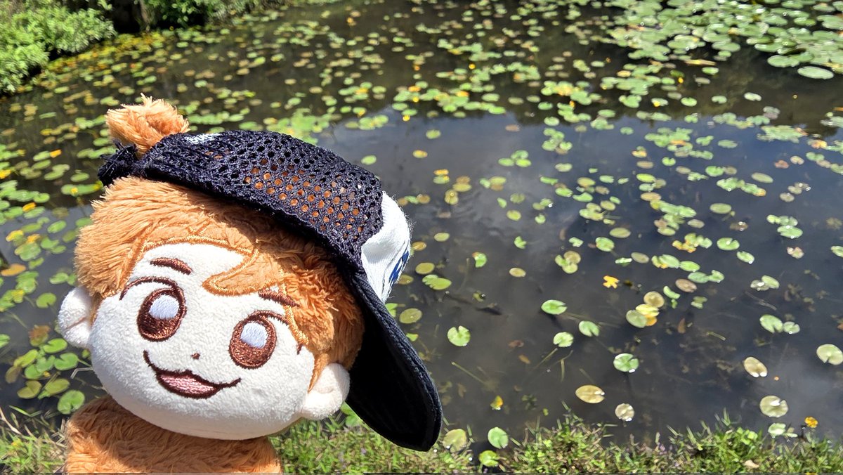 fishcakebar1115's tweet photo. ⛰️（＾ω＾）🧢
#어묵바 #小黑倫 https://t.co/yxC0l8CYt2