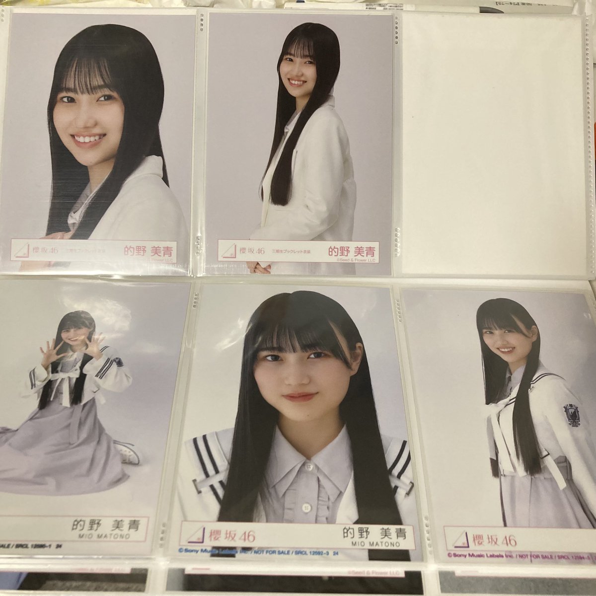 ラムセス tweet media