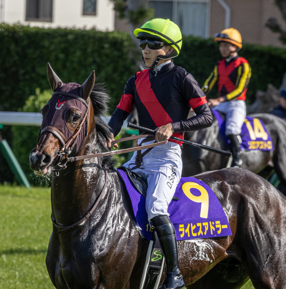 ぶらん tweet media