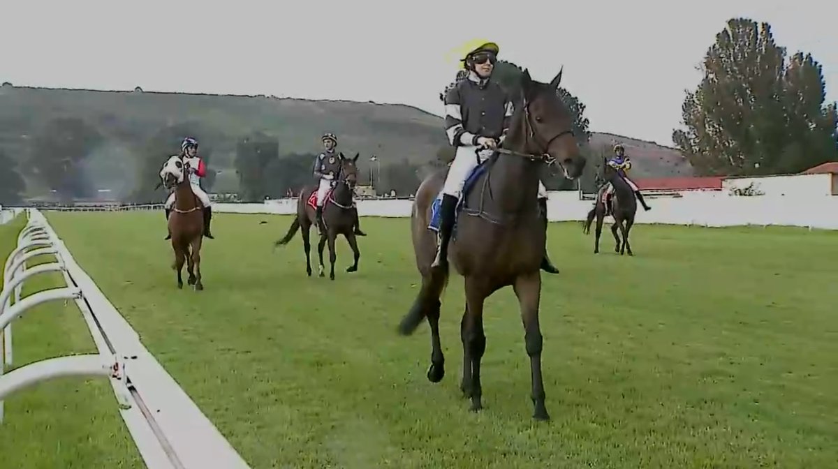 rebelsart's tweet image. Bravo 🇫🇷 Mickaëlle Michel🇯🇵@MickaelleMichel and Sunset Riot 2nd place in race 6 on Sunday at Turffontein, South Africa‼️🏇🥈🇿🇦
Trainer Alec Laird
💥Work Hard!💥
#NeverGiveUp #WorkHard #MickaelleMichel
M.ミシェル #ミカエルミシェル
💪👊🌪️🥰
@FredericSpanu @noriri4 @ma_ouma1