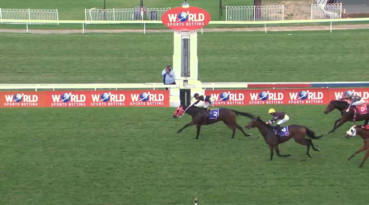 rebelsart's tweet image. Bravo 🇫🇷 Mickaëlle Michel🇯🇵@MickaelleMichel and Sunset Riot 2nd place in race 6 on Sunday at Turffontein, South Africa‼️🏇🥈🇿🇦
Trainer Alec Laird
💥Work Hard!💥
#NeverGiveUp #WorkHard #MickaelleMichel
M.ミシェル #ミカエルミシェル
💪👊🌪️🥰
@FredericSpanu @noriri4 @ma_ouma1