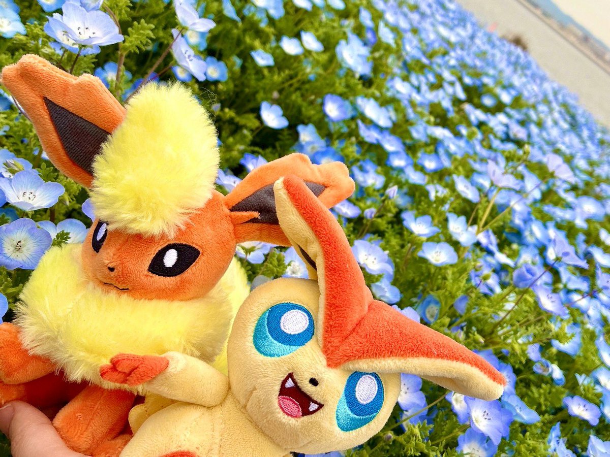 えびてん tweet media