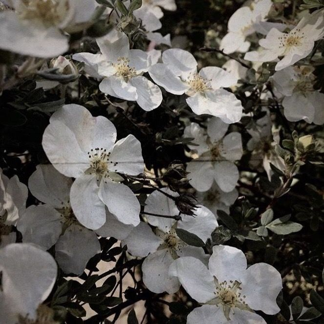 theo ☆ SHEDTWT tweet media