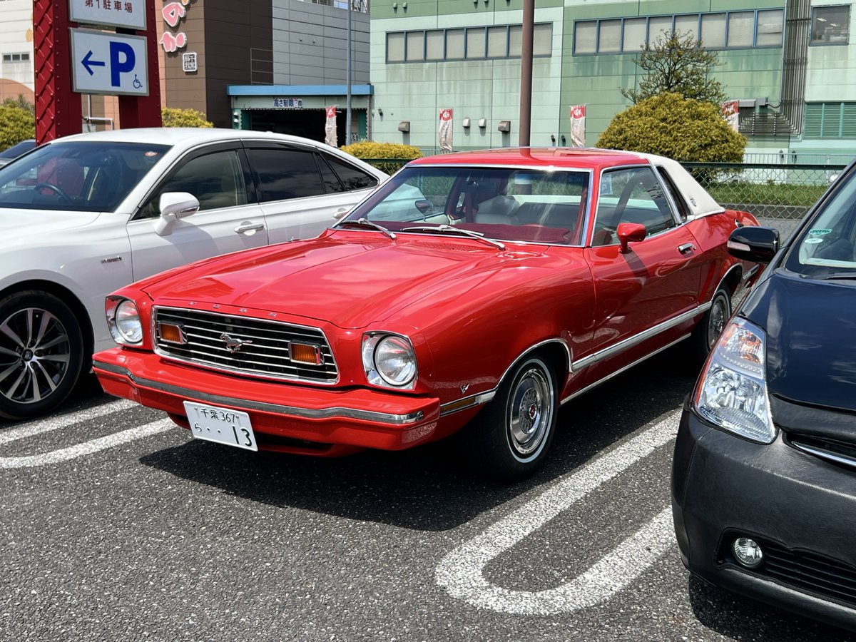 すーちゃん tweet media