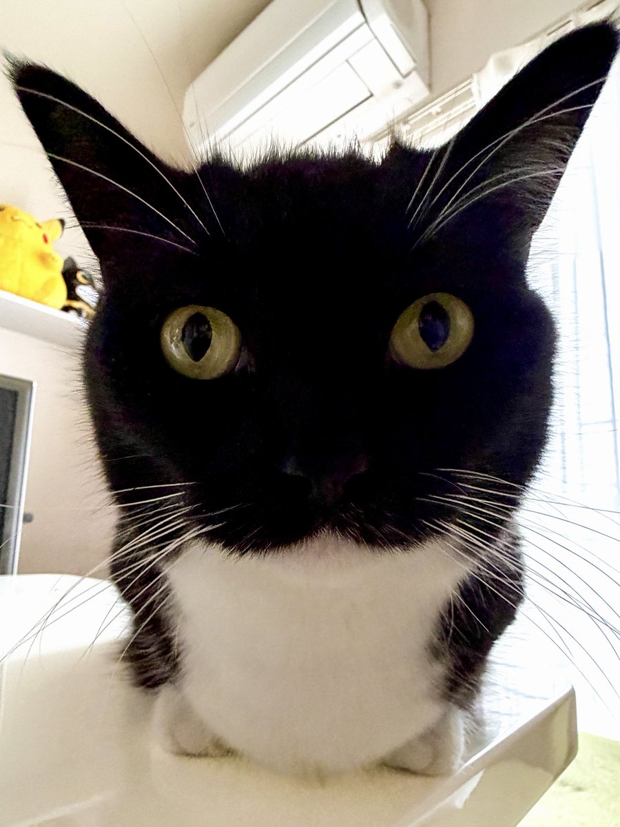 I'm Uni :3 tweet media