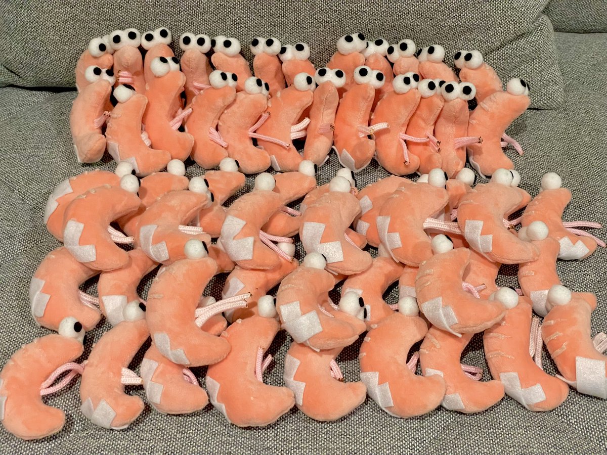 いっぱい腰痛の剥きエビ完成しました❣️✨❣️✨❣️✨これだけあれば足りると信じています……！少量BOOTHに出しますが、主にデザフェス在庫として保管します😂余裕があれば追加で作ろうと思います！🪡