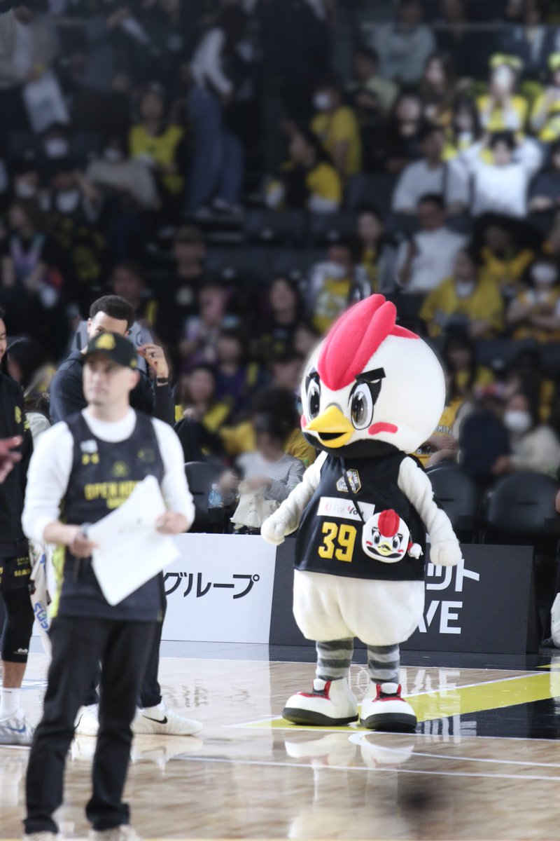 わて🚲 tweet media