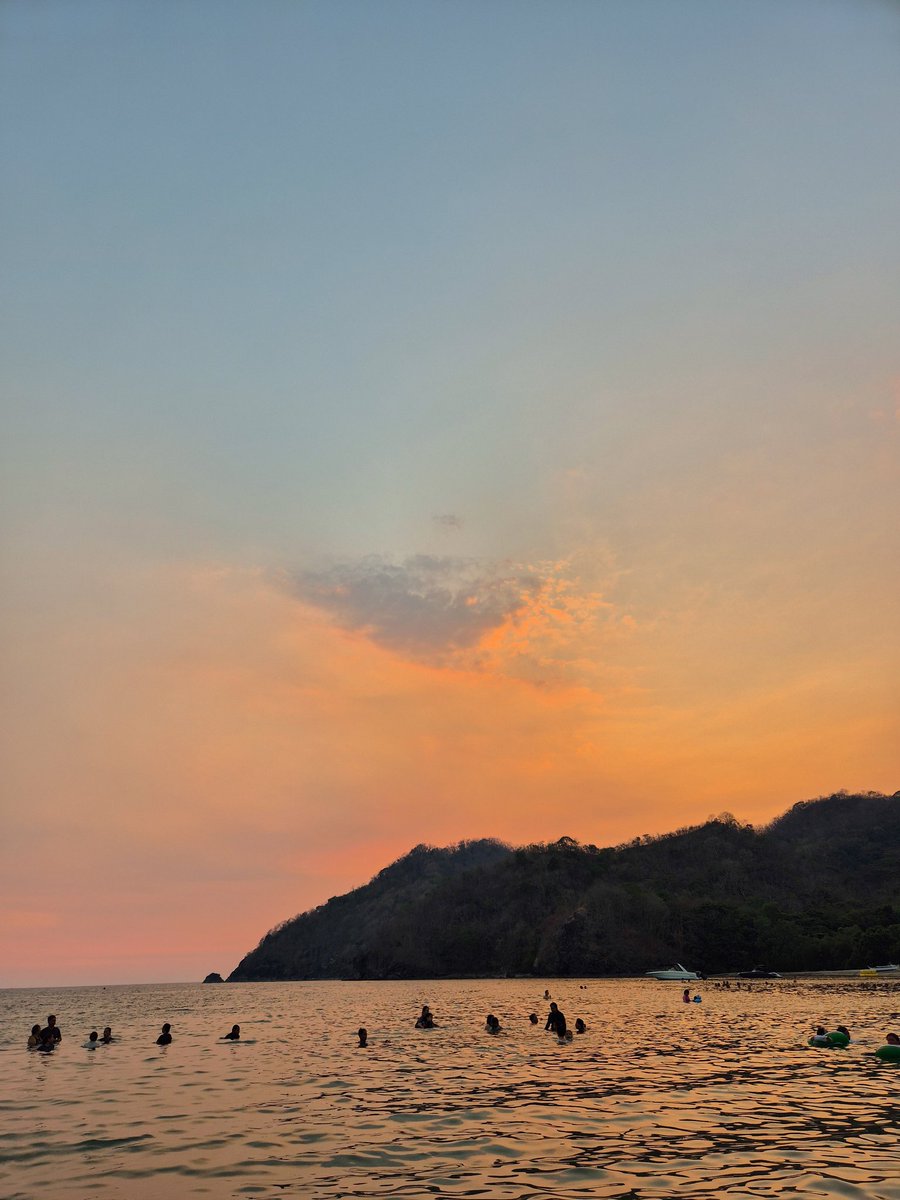 maimai 🌷 tweet media